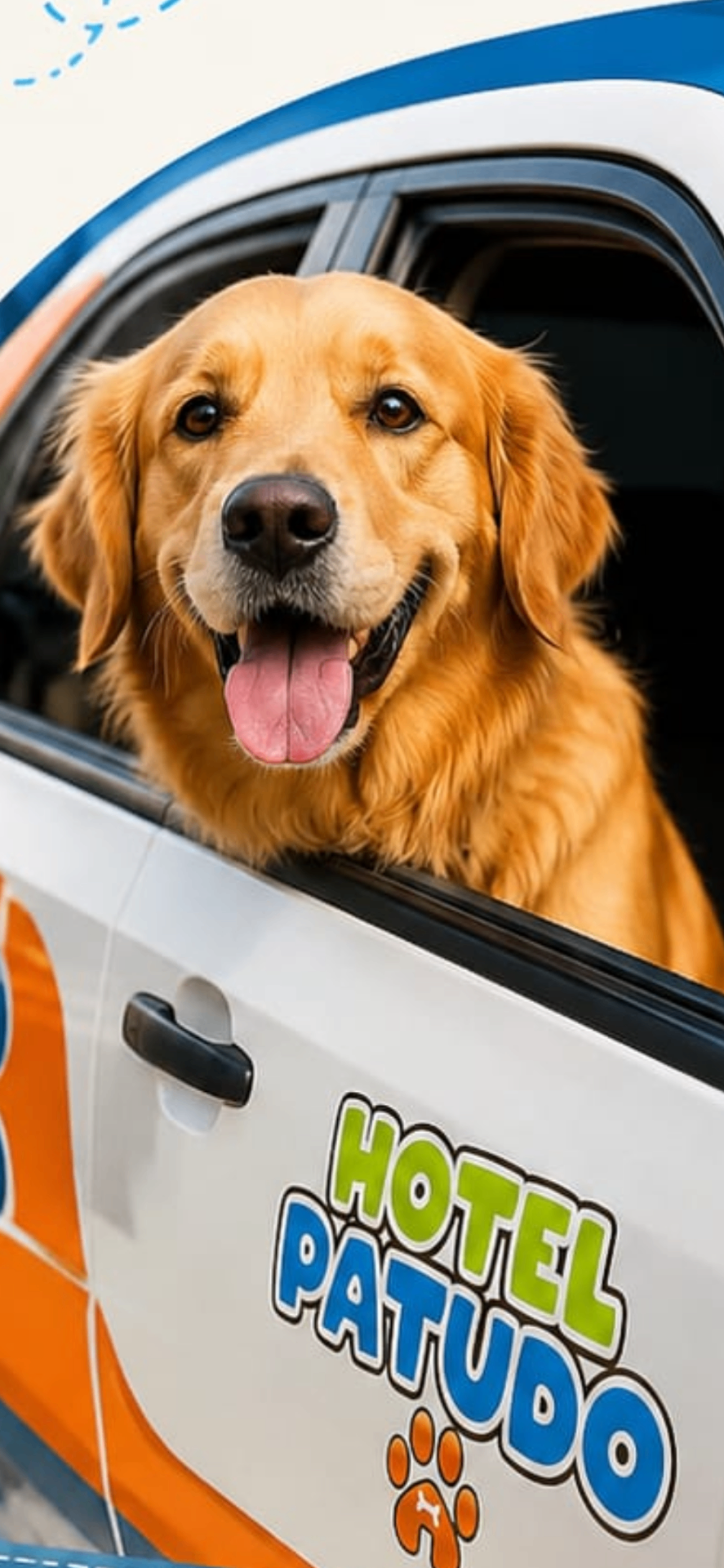 Carro do Hotel Patudo para serviço Táxi Pet